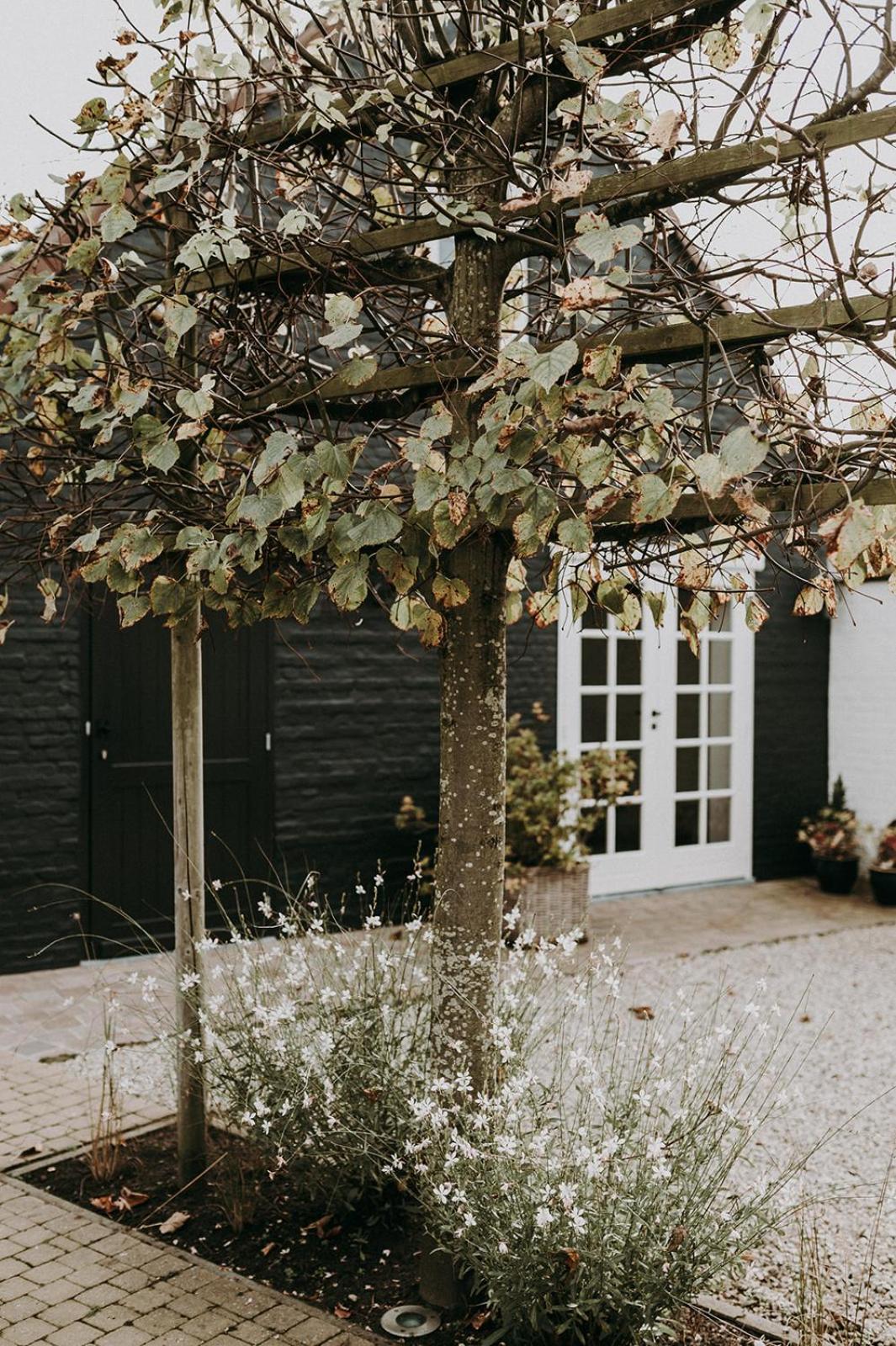 Charmeverblijf Juliette Kasterlee Exterior foto